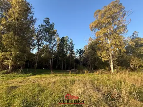 Venta · Campo de 4ha · Arbolado · Monte Hoffmann · Exaltación de la Cruz