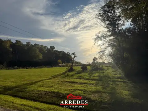 Venta · Campo de 4ha · Arbolado · Monte Hoffmann · Exaltación de la Cruz