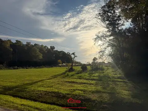 Venta · Campo de 4ha · Arbolado · Monte Hoffmann · Exaltación de la Cruz