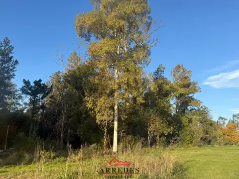 Venta · Campo de 4ha · Arbolado · Monte Hoffmann · Exaltación de la Cruz