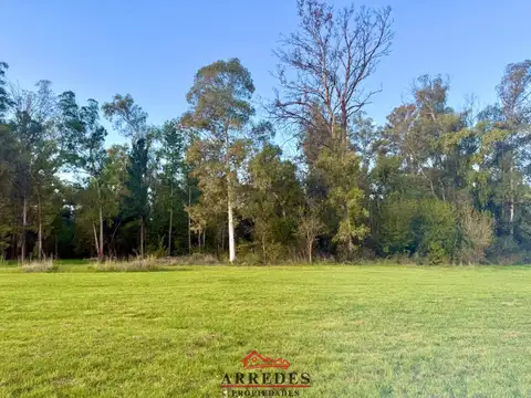 Venta · Campo de 4ha · Arbolado · Monte Hoffmann · Exaltación de la Cruz