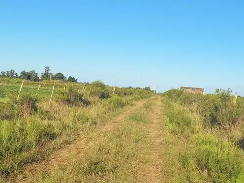 Ruta 8 Km.