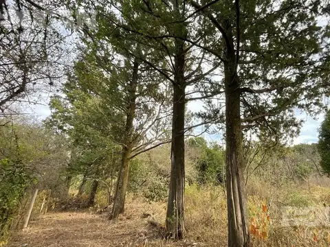 Terreno en Venta 68  mts Fondo