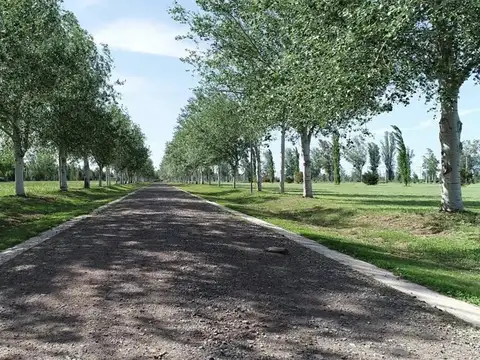 TERRENO EN VENTA PINARES DEL SUR - PIÑERO