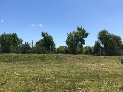 Terreno en Venta 31  mts Fondo