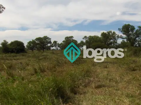 Campo en venta 1700 has apto Agrícola Ganadero Zona Joaquín V. González, Salta