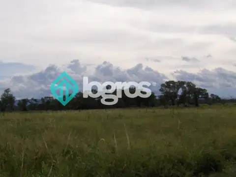 Campo en venta 1700 has apto Agrícola Ganadero Zona Joaquín V. González, Salta