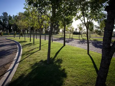 Ruta Provincial 1 1900