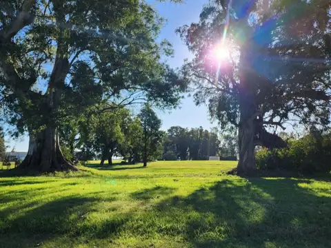 Terreno en Venta en Area 60, USD 8.000