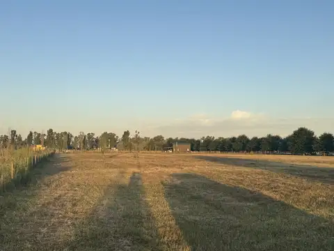 Terreno en Venta en San Antonio De Areco, USD 140.000