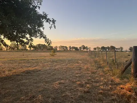 Terreno en Venta en San Antonio de Areco, USD 140.000