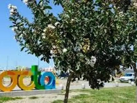 VENTA LOTE 360m2 APTO DUPLEX DOCTA AVENIDA 2