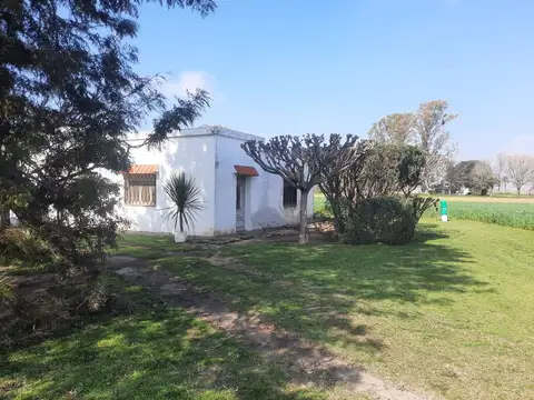 Venta campo productivo sobre Ruta 11