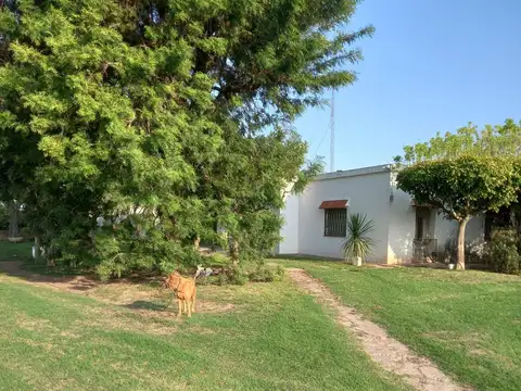 Venta campo productivo sobre Ruta 11