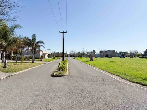 Avenida Carlos Pellegrini 3500