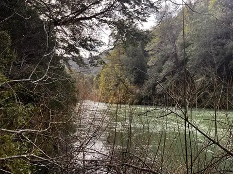 Campo en Venta en El Manso - 174 ha