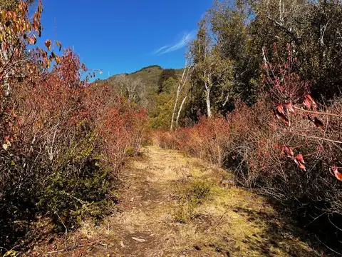 Ruta Provincial 83 100