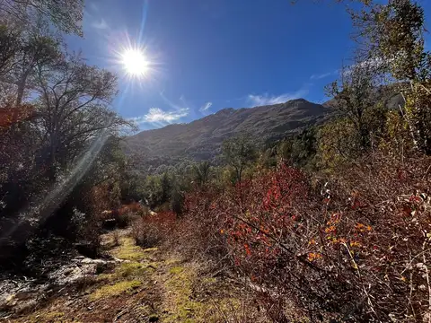 Ruta Provincial 83 100