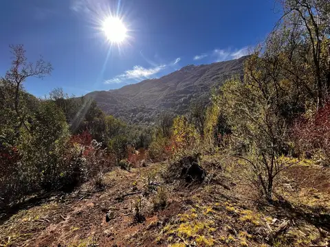 Campo en Venta en El Manso - 174 ha