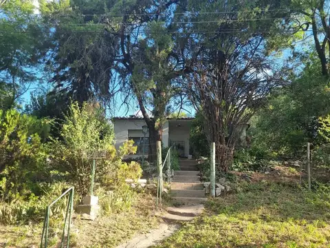 Arturo Noriega 100