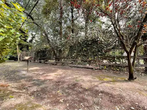 Terreno en Venta 31  mts Fondo