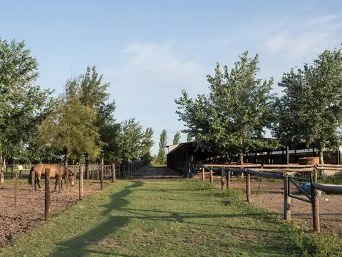 Terreno en Venta 50  mts Fondo