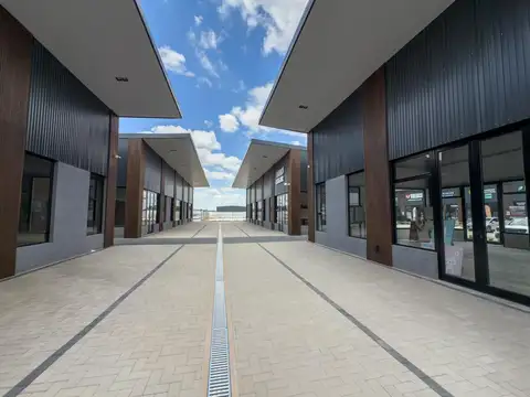 Perito Moreno al 1100