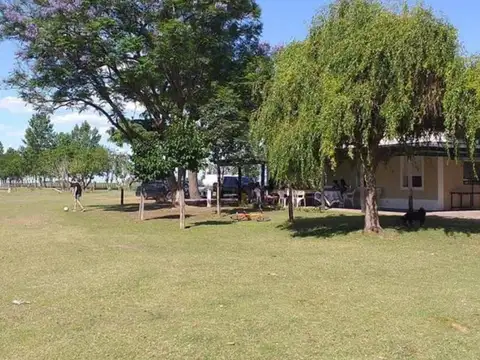 Campo en venta - 53 Hectáreas - Ramallo