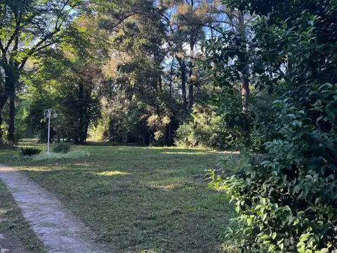 miguel de unamunu y centenera, del 100