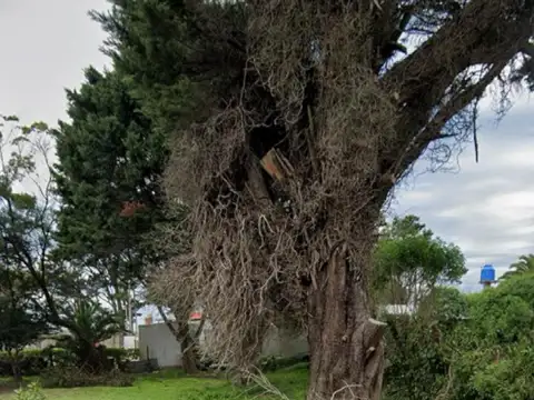 Terreno en Venta 15  mts Frente