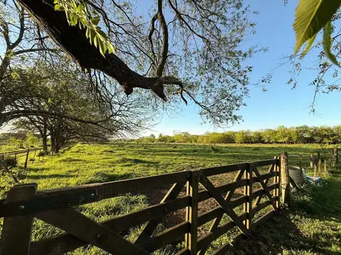 Campo en Venta en Los Hornos casa y pileta