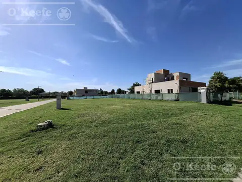 CTR- Las Moras de Hudson  B  1