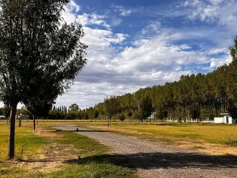 Terreno en Venta en Villa Regina, USD 53.000