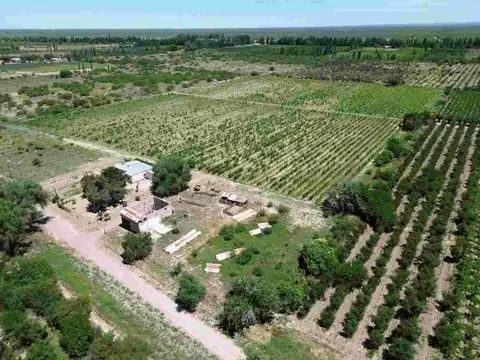 VENTA DE CAMPO, SANTA ROSA, LAS CATITAS MENDOZA