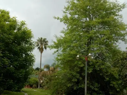 Terreno en Alquiler 30  mts Fondo