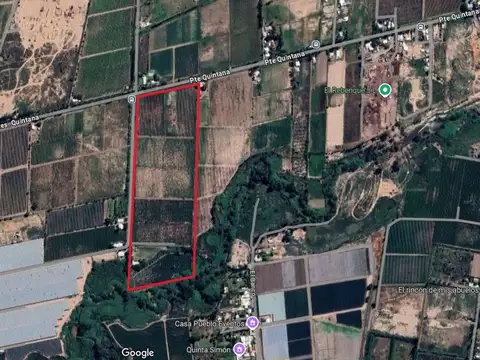 VENTA FINCA PRODUCTIVA 12 HA ALGARROBAL MENDOZA