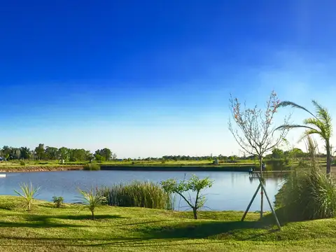 Terreno en Venta de 1000,0 m2