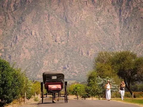 RN40, Cafayate, Salta