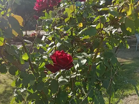 Terreno en Venta de 762,0 m2