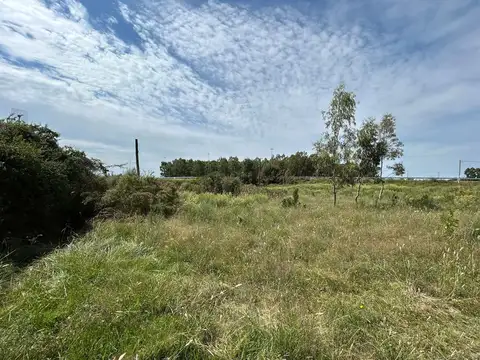 Venta de chacra sobre Ruta 5 en Florida
