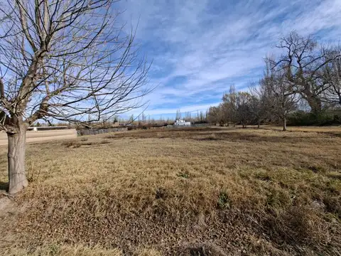 Terreno en Venta de 791,0 m2