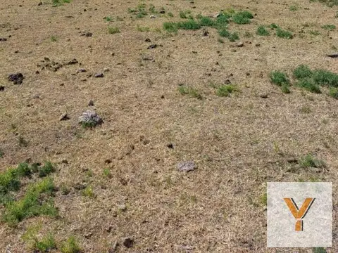 Campo en venta - 15.000Hectáreas - Santa Fe