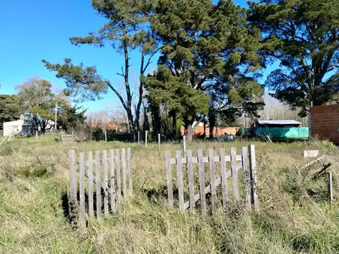 Isla Elefante