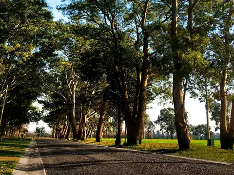 Terreno en Venta en San Nicolás de los Arroyos, USD 48.600