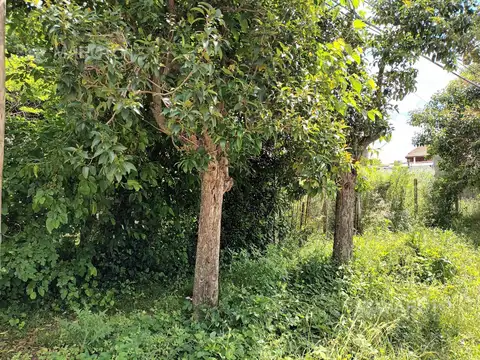 Terreno en Alquiler de 1733,0 m2