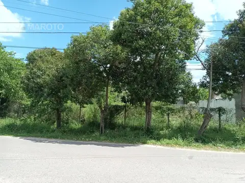 MAROTO PROPIEDADES- ALQUILA-IDEAL INVERSORES