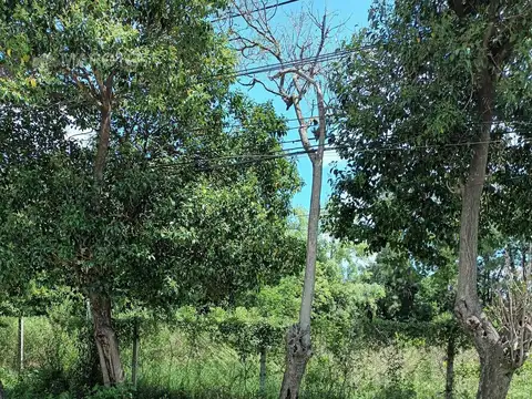 Terreno en Alquiler de 1733,0 m2