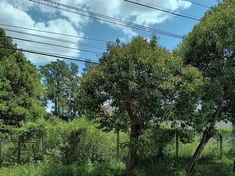 Terreno en Alquiler Maschwitz - MAROTO PROPIEDADES