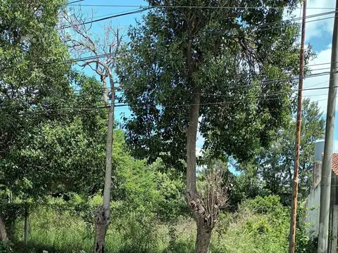 Terreno en Alquiler en Ingeniero Maschwitz, USD 2.000