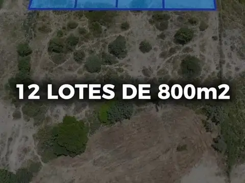 Terreno en Venta de 10000,0 m2